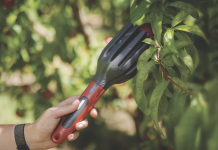 AgroFresh a Fruit Attraction 2025 potenzia il post-raccolta Strumento innovativo per la raccolta delicata della frutta presentato da AgroFresh a Fruit Attraction 2025, a supporto della qualità post-raccolta e della sostenibilità