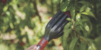 Strumento innovativo per la raccolta delicata della frutta presentato da AgroFresh a Fruit Attraction 2025, a supporto della qualità post-raccolta e della sostenibilità