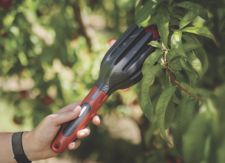 AgroFresh a Fruit Attraction 2025 potenzia il post-raccolta Strumento innovativo per la raccolta delicata della frutta presentato da AgroFresh a Fruit Attraction 2025, a supporto della qualità post-raccolta e della sostenibilità