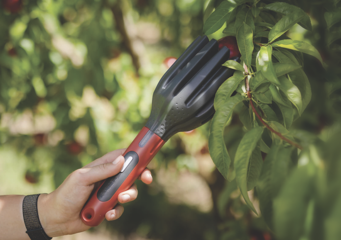 AgroFresh 2025 Strumento innovativo per la raccolta delicata della frutta presentato da AgroFresh a Fruit Attraction 2025, a supporto della qualità post-raccolta e della sostenibilità