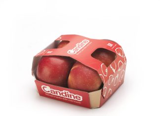 Apofruit, vassoio mela Candine