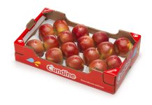 Cassetta mela Candine Apofruit