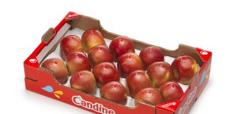 Cassetta mela Candine Apofruit