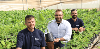 Coltivatori Chiquita (credits Gaetano Piccione e Giovanni Migliorisi)