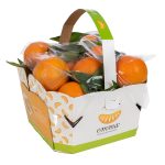 Clementina Emma Gruppo Mazzoni