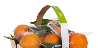 Clementina Emma Gruppo Mazzoni