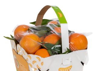 Clementina Emma Gruppo Mazzoni