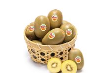 In Italia i volumi di Kiwi Zespri SunGold crescono del 25% Kiwi Zespri SunGold a polpa gialla