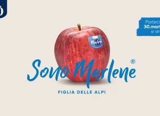 Marlene lancia un concorso per i suoi 30 anni   Marlene festeggia i 30 anni