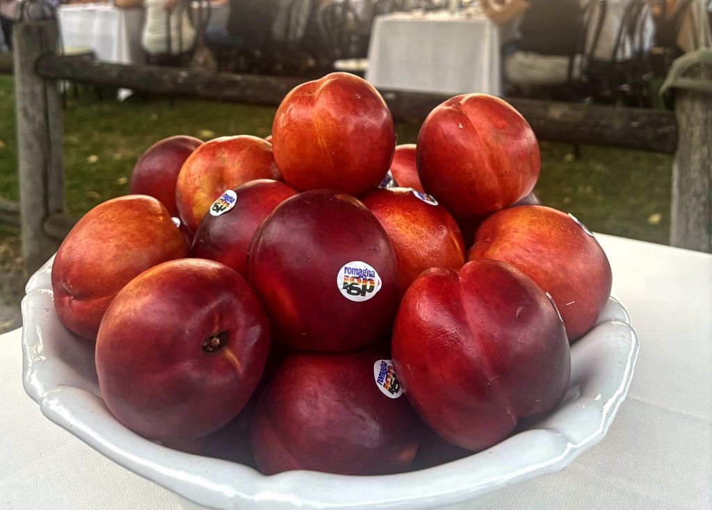 Le Pesche e Nettarine di Romagna Igp sono sempre più apprezzate in Italia e all'estero, secondo i dati del Consorzio