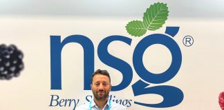 Nicola Tufaro breeder Nova Siri Genetics