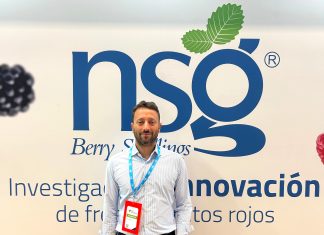 Nicola Tufaro breeder Nova Siri Genetics