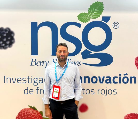 Nicola Tufaro breeder Nova Siri Genetics