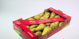 Pere Abate Opera pack