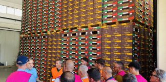 Selenalla, visita dei soci produttori siciliani in Emilia-Romagna