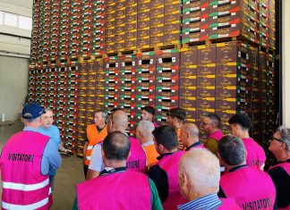 Selenella continua a investire nella sostenibilità Selenalla, visita dei soci produttori siciliani in Emilia-Romagna