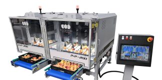 La nuova confezionatrice Sorma P&P-800