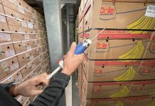 Catalytic Generators a Fruit Attraction con le innovazioni nella maturazione della frutta L'uso di etilene per la maturazione della frutta è un sistema semplice e sicuro, come applicato da Catalytic Generators