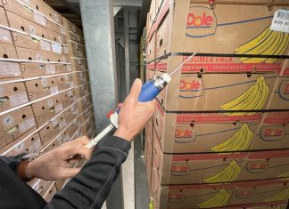 Catalytic Generators a Fruit Attraction con le innovazioni nella maturazione della frutta L'uso di etilene per la maturazione della frutta è un sistema semplice e sicuro, come applicato da Catalytic Generators