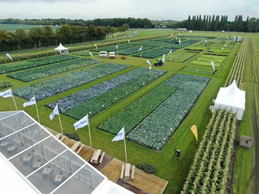 L'appuntamento Fields of innovation di Syngenta è una vetrina sul futuro del breeding