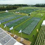 L'appuntamento Fields of innovation di Syngenta è una vetrina sul futuro del breeding