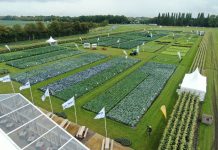 Torna Fields of Innovation di Syngenta L'appuntamento Fields of innovation di Syngenta è una vetrina sul futuro del breeding