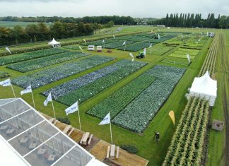 Torna Fields of Innovation di Syngenta L'appuntamento Fields of innovation di Syngenta è una vetrina sul futuro del breeding