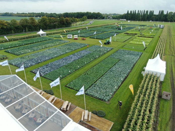 Syngenta L'appuntamento Fields of innovation di Syngenta è una vetrina sul futuro del breeding