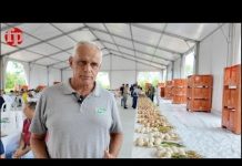 Dalle cipolle alle angurie, i semi made in Italy di Cora Seeds conquistano il mondo