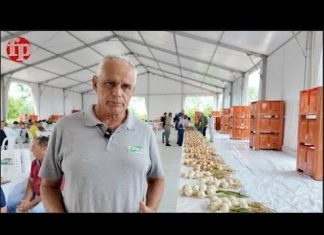 Dalle cipolle alle angurie, i semi made in Italy di Cora Seeds conquistano il mondo