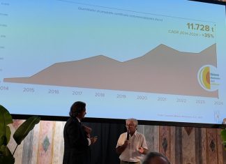 Melone Mantovano Igp: la crescita è solo all’inizio, serve investire sulla comunicazione