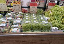 Compostabilità, esenzioni per numerosi prodotti ortofrutticoli Anche l'uva da tavola rientra tra i prodotti con deroga all'obbligo della confezione compostabile sotto il chilo e mezzo, secondo quanto stabilisce la nuova normativa