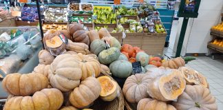 Crescono i quantitativi di zucche, anche quelle ornamentali