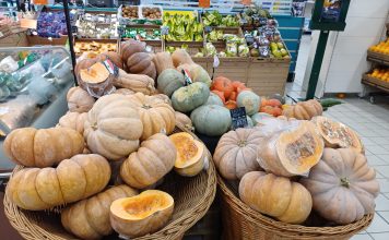 Crescono i quantitativi di zucche, anche quelle ornamentali
