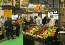 La Fiera dell'ortofrutta di Madrid è sempre più partecipata: oltre 120mila i visitatori per l'edizione 2025