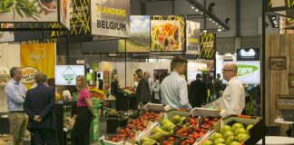 La Fiera dell'ortofrutta di Madrid è sempre più partecipata: oltre 120mila i visitatori per l'edizione 2025