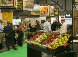 La Fiera dell'ortofrutta di Madrid è sempre più partecipata: oltre 120mila i visitatori per l'edizione 2025