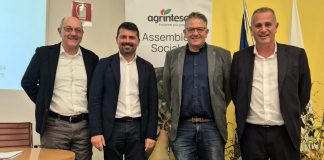 L'assemblea dei soci: da sinistra, Adriano Aldrovrandi , Alessio Mammì, Aristide Castellari, Cristian Moretti