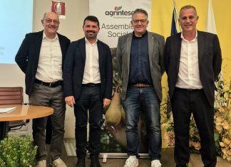 Il mondo della cooperazione verso la concentrazione: Fruit Modena Group entra in Agrintesa L'assemblea dei soci: da sinistra, Adriano Aldrovrandi , Alessio Mammì, Aristide Castellari, Cristian Moretti