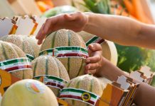 Fotogramma dello spot televisivo Melone Mantovano Igp