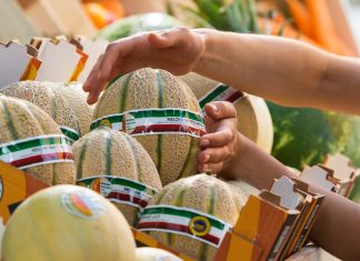 Fotogramma dello spot televisivo Melone Mantovano Igp