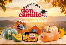 La linea di zucche Don Camillo