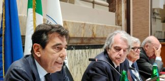 Fabio Massimo Pallottini, Presidente di Italmercati, presentazione del Rapporto Italmercati-Ismea al Cnel