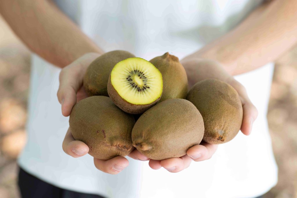 Kiwy Matera, a polpa gialla