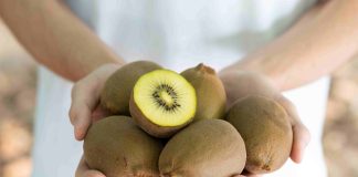 Kiwy Matera, a polpa gialla