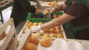 La produzione è con metodi di agricoltura integrata