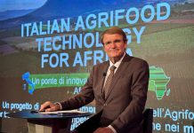 Piraccini lancia l’Italian Agrifood Technology for Africa Renzo Piraccini alla presentazione del progetto Italian Agrifood Technology for Africa