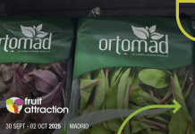 Fruit Attraction: cresce l’impegno di Ortomad nel biologico Confezioni di insalate Ortomad biologico esposte a Fruit Attraction 2025 a Madrid, simbolo dell’innovazione e della linea bio del Gruppo La Linea Verde