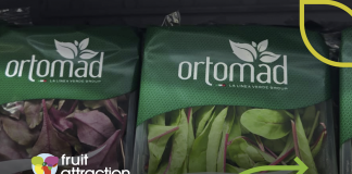 Confezioni di insalate Ortomad biologico esposte a Fruit Attraction 2025 a Madrid, simbolo dell’innovazione e della linea bio del Gruppo La Linea Verde