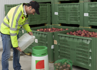 Operatore agricolo versa un liquido in un dispositivo SmartFresh per mantenere la qualità delle mele conservate in casse verdi sullo sfondo e in una retina
